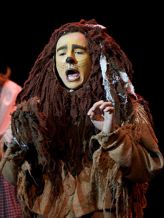 The Wizard of OZ -  257