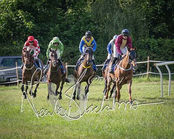 Race 6 - Thorn Plant Hire Maiden Race (41 of 129)