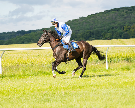Race 6 - Open Maiden (55 of 227)