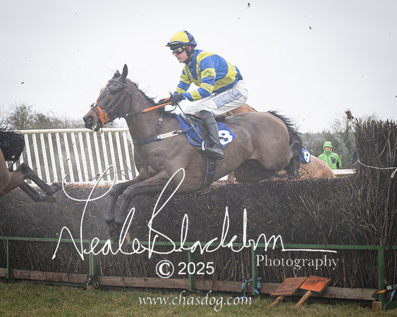 Race 2 - Restricted (10 of 70)-Enhanced-NR
