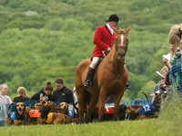 Hound Race -  7