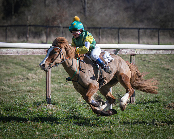 Pony Races (27 of 112)