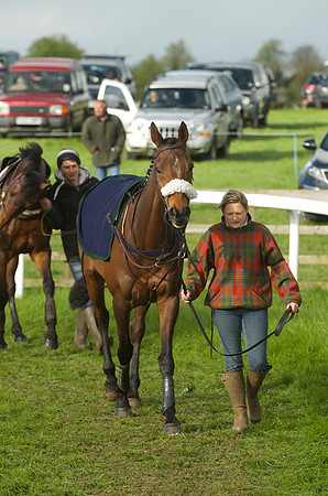 Race 7 - Conditions 17