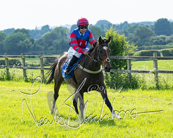 Race 5  - Maiden race 2m5F Div-2 (52 of 205)