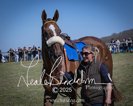 Race 2 - The Maiden (17 of 118)