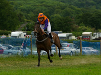 Pony Race - 2