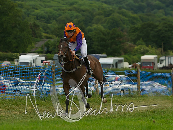 Pony Race - 2