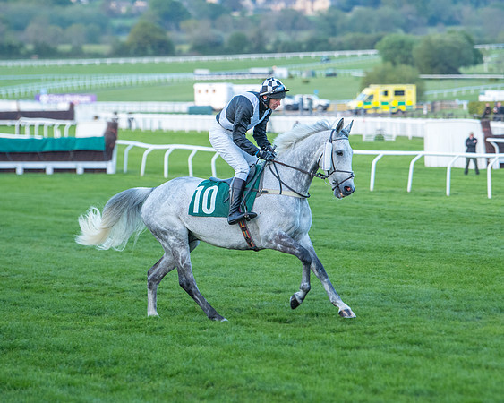 Race 7 - Glos Hussars  (77 of 245)