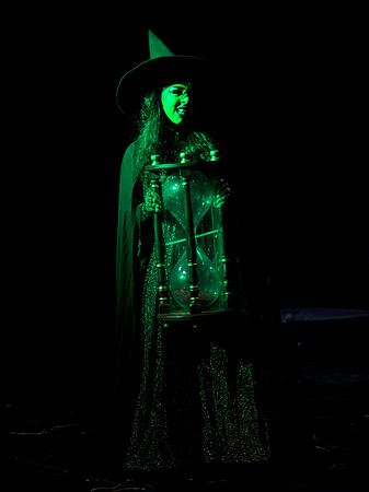 The Wizard of OZ -  346