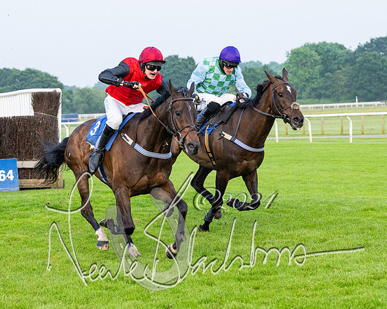 Race 5 - Peter Wright Handicap (72 of 117)