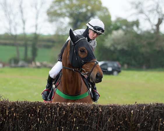 Race 2 - Jockey Club ROR veteran Horse (23 of 104)