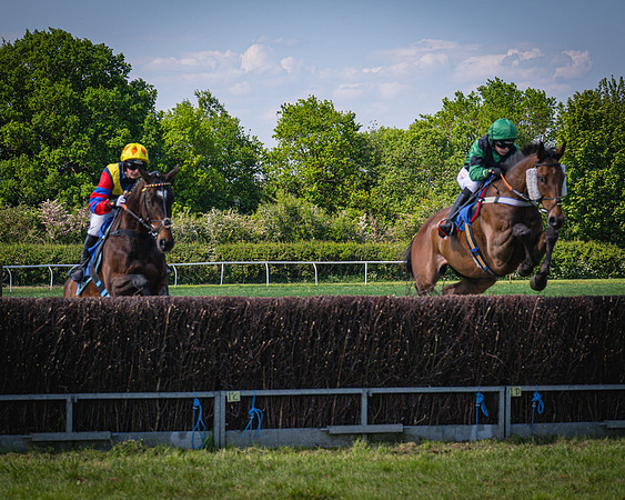 Race 3 The College and County Ladies Open Race (32 of 122)