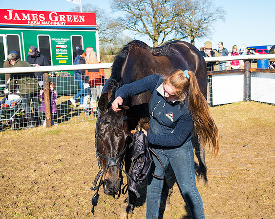 Race 5 - Novice riders (188 of 201)