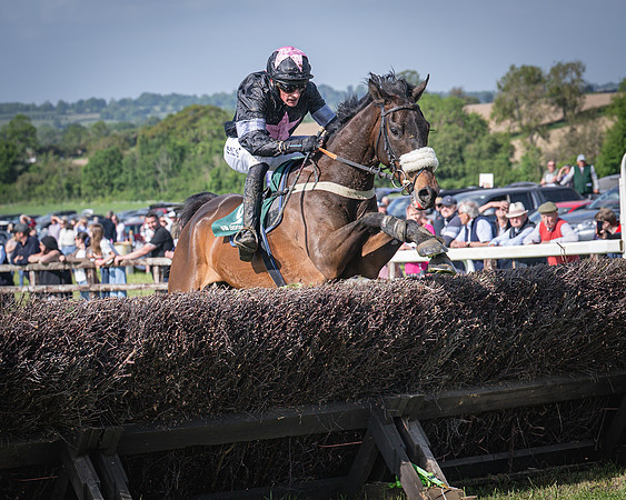 Race 5 - Restricted (72 of 116)