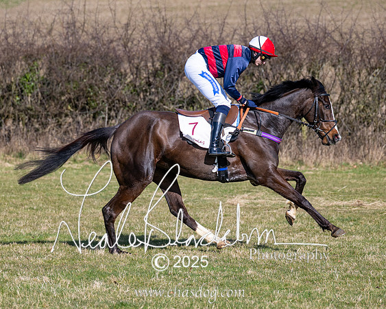Race 1 - Maiden (66 of 188)