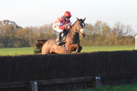 Young Horse Maiden  17