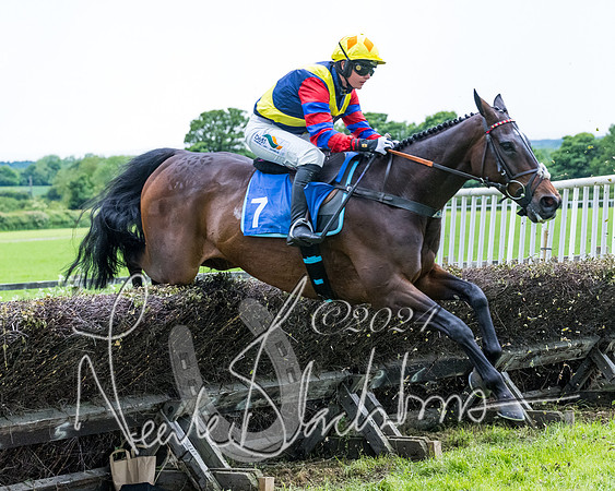 Race 3 - Conditions (238 of 367)
