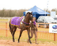 Race 6 - Open Maiden (5 of 120).jpg