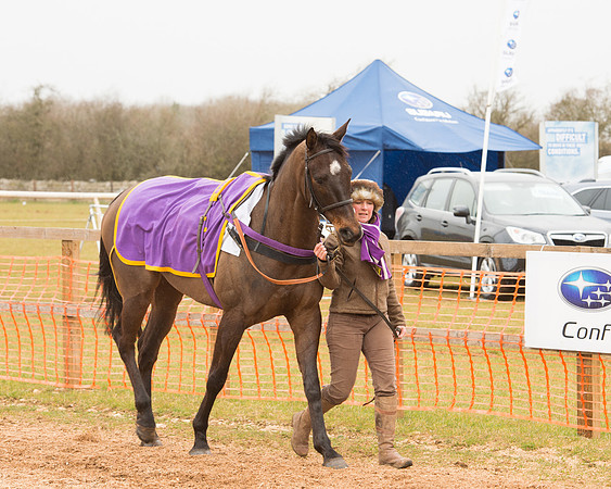 Race 6 - Open Maiden (5 of 120).jpg