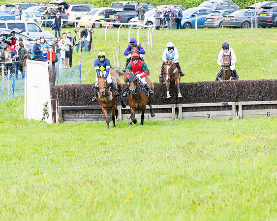 Race 2 - Veteran Horse (34 of 80)