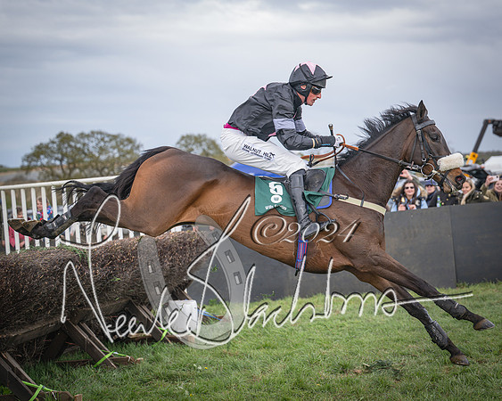 Race 3 - 5 years old and Over Maiden Race (66 of 130)