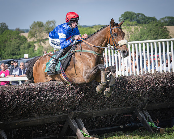 Race 5 - Restricted (80 of 116)