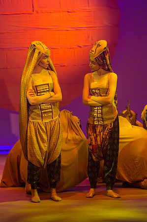 Lion King (96 of 484).jpg