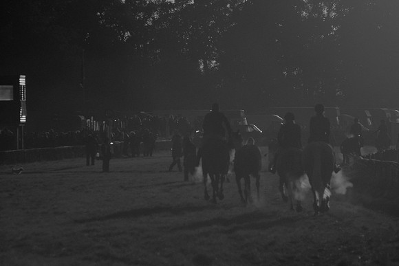Young Horse Maiden  55