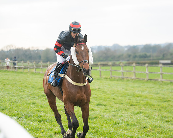 Race 6 - The Restricted Race (7 of 200)