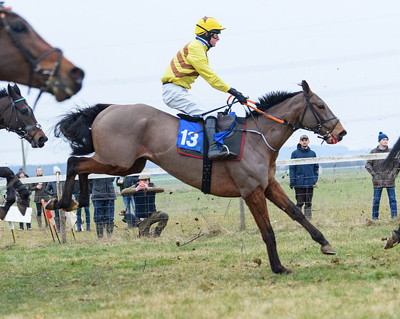 Race 8 - Oprn Maiden Div 2 (56 of 108)