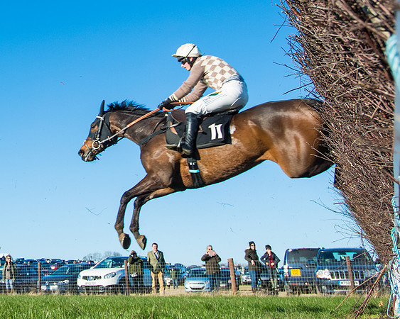 Race 6 - Restricted  (167 of 291)