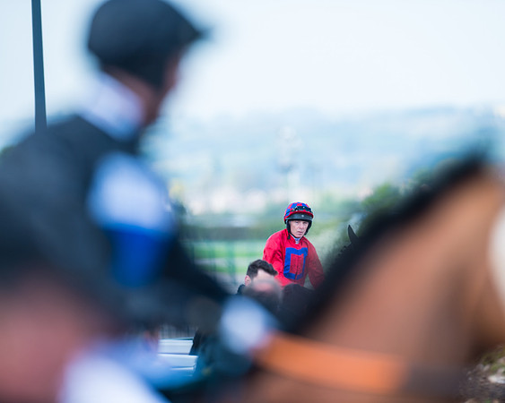 Race 1 - The open Hunter chase  (36 of 95)