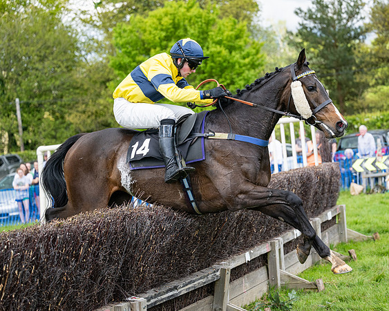 Race 5  - Maiden  (74 of 84)