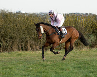 Race 6 - Open Maiden Race (16 of 99).jpg