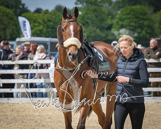 Race 1 - Warwickshire Hunt members steeplechase 2m62y (13 of 83)
