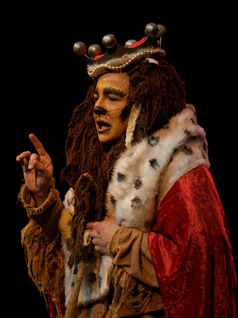 The Wizard of OZ -  265