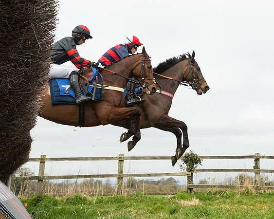 Race 2 - Veteran Horse (70 of 153)