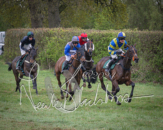 Race 7 - The Jockey Club maiden race for Mares and Fillies only (63 of 96)
