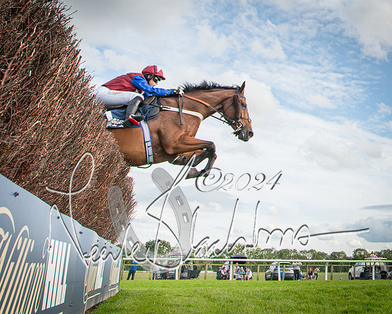 Race 2 - Olly Murphy Racing Stratford Ladies Open (67 of 111)
