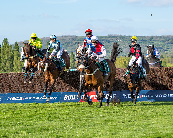 Race 3 - KTDA Hunters' Steeple Chase  (109 of 226)