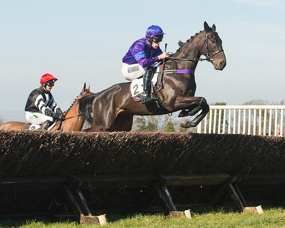 Race 1 Div 1 - 2M4F Maiden (60 of 117).jpg