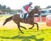 Race 5 - TBA members Mares and Fillies race (14 of 101).jpg