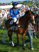 picture-10