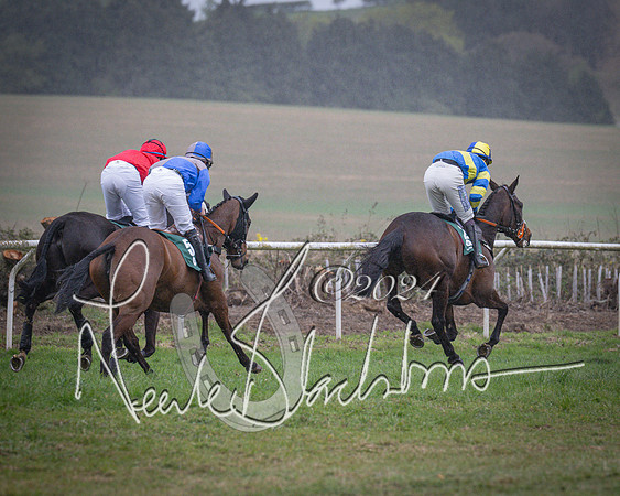 Race 7 - The Jockey Club maiden race for Mares and Fillies only (59 of 96)