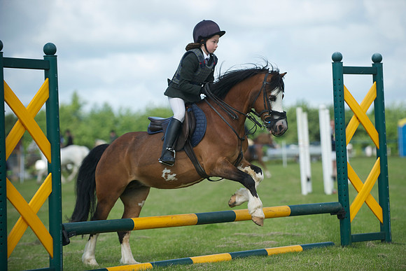 SOHS PC Summer Show at BCA 17th June 2012