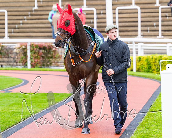 Race 5 - Mares Open  (8 of 129)