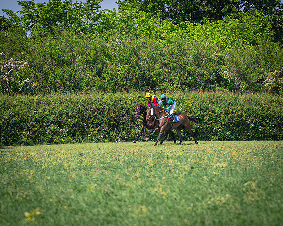 Race 3 The College and County Ladies Open Race (49 of 122)