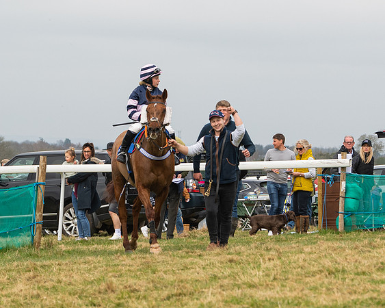 Race 2 - Veteran Horse (119 of 153)