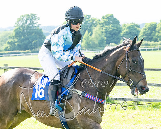 Race 5  - Maiden race 2m5F Div-2 (94 of 205)