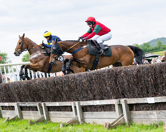 Race 2 - Veteran Horse (42 of 80)